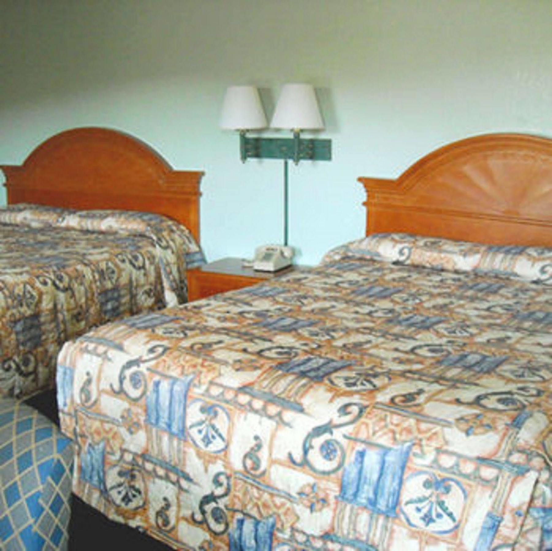 Whispering Pines Motel - Asheville Værelse billede