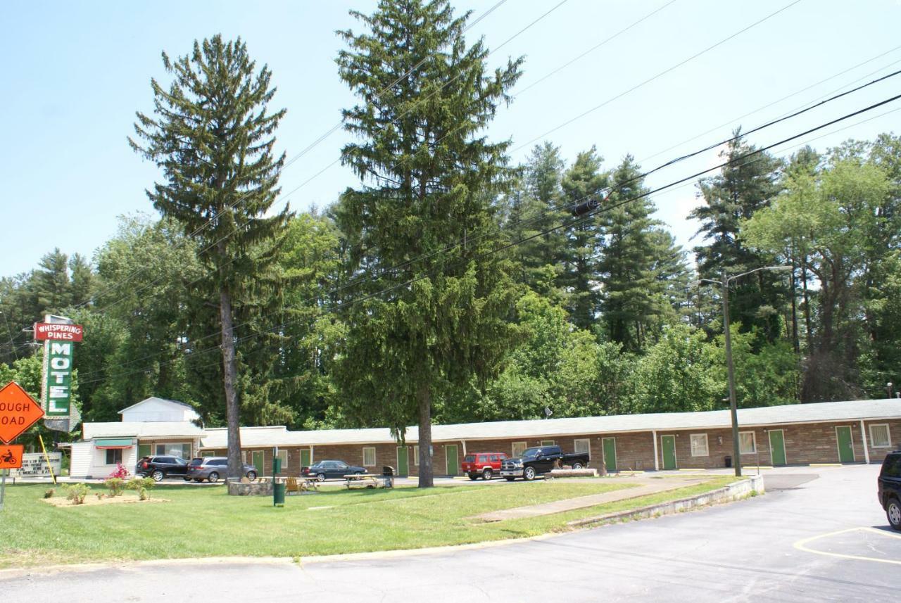 Whispering Pines Motel - Asheville Eksteriør billede